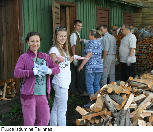 2012f_5_kyttepuu_500px