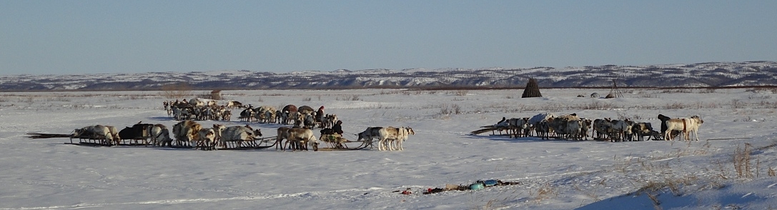 Suvi Eriksson Suvi Eriksson